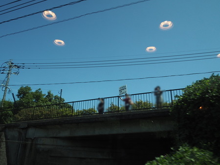 ÆÃµÞ¤«¤â¤á_1663857173