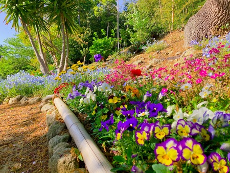 2022.04.19 ����Ը��Į���ھ�̾�β�ȪIMG_5689