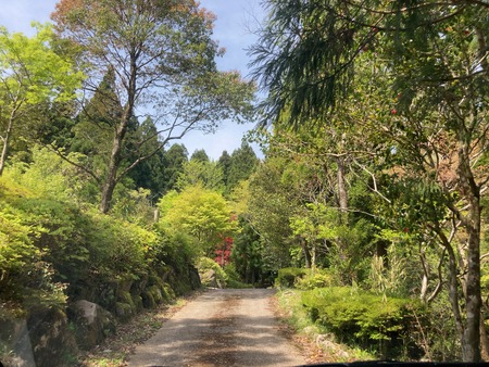 2025.07.19�����ὤ¿��ο�IMG_1227