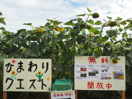 2022.07.30 ����Ծ���Į���Ҥޤ�ꥯ������P7303585