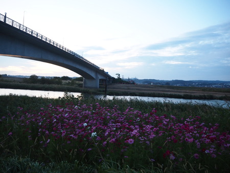 1−不知火橋PA150573