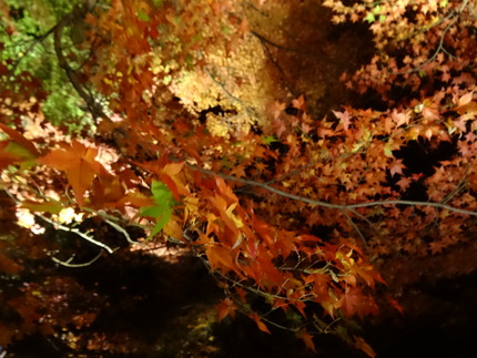 �����ݸ������ڱ�DSC09657