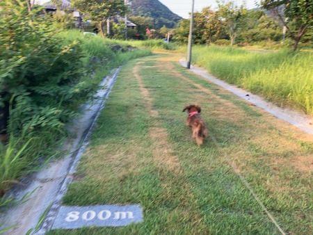 2024.09.06�������դ줢������IIMG_7684