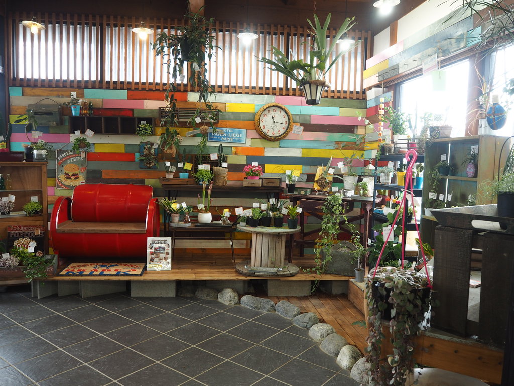祝 移転オープン 観葉植物と雑貨のお店 松井商店 諫早市小野島町 長崎 諫早市民 ふくちゃんの食う 寝る 遊ぶ日記
