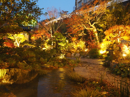 2021.09.06�������¿�ɸ�Į���ޥåȥ졼�٥�PC133825