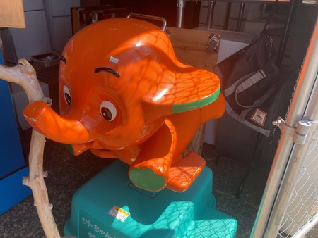 Į饤󥬥졼IMG_3095