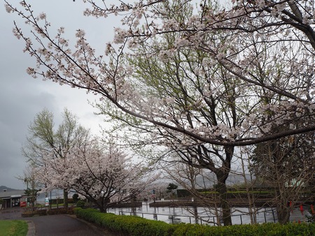 3-�����¿�ɸ�Į������Х���κ�����P3203944