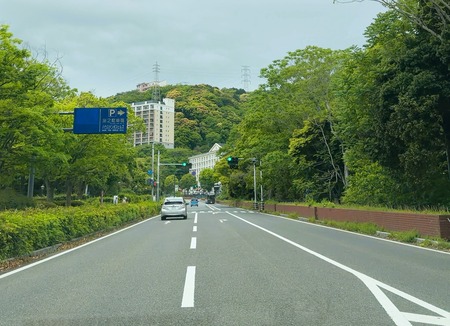 IMG_3419 - コピー