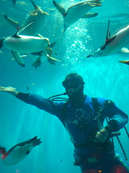 Ĺ��ԡ�Ĺ��ڥ󥮥��²��P2142141