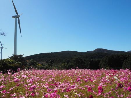 2023.10.22������Ծ�Ĺ��Į�����ʥե���PA211736