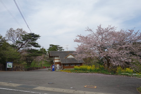 7-白木峰高原DSC06067