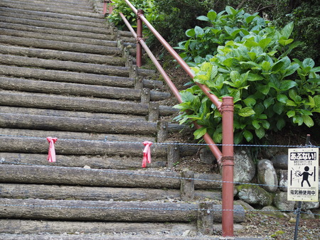 Í´ÆÁ°ð²Ù¿À¼ÒP1012180