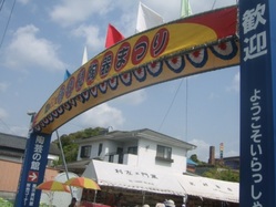 hasami-23