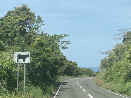 2023.05.04 平戸市生月 サンセットロードIIMG_7694