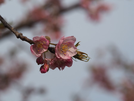 2023.03.04����¼�ԡ���¼����P1012004