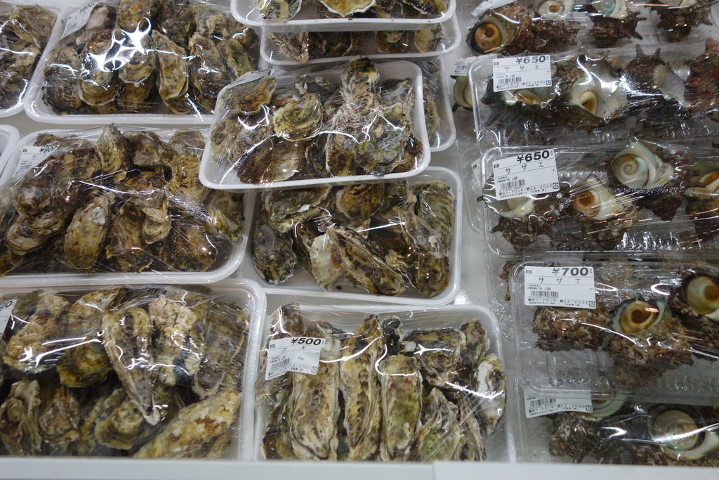 激安で新鮮な魚にコーフン 朝市フードセンター 佐世保市万津町 長崎 諫早市民 ふくちゃんの食う 寝る 遊ぶ日記