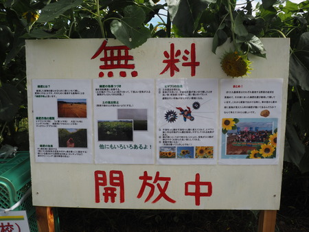 2022.07.30 ����Ծ���Į���Ҥޤ�ꥯ������P7303586