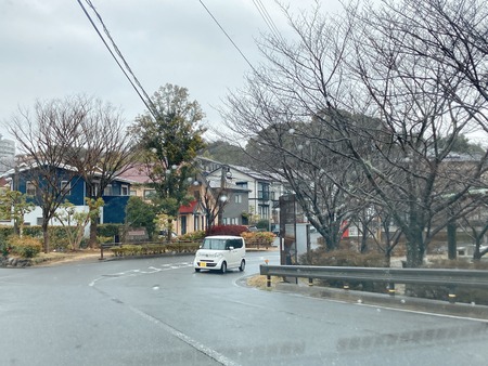2022.02.21 大村市 久原公園 河津桜IMG_9009