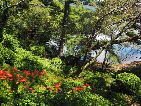 ��ٸ�backgroundP9241350