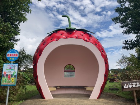 2023.10.15 諫早市小長井町 山茶花高原IMG_7128