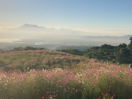 IMG_8709 2 - コピー