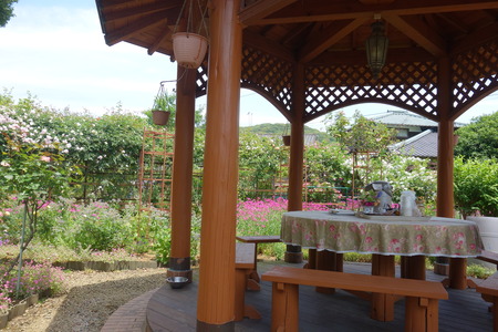 9������Х��DSC00244