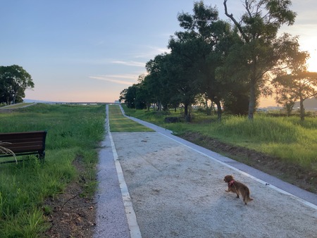 2024.09.06�������դ줢������IIMG_7667