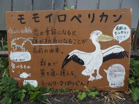 2021.11.14 �����ݻԡ��彽����ư��ʪ�ࡡ�������PB136179