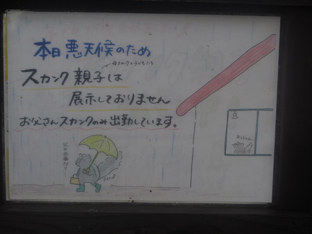 2021.07.04Ĺ��Х����ѡ���P7038362