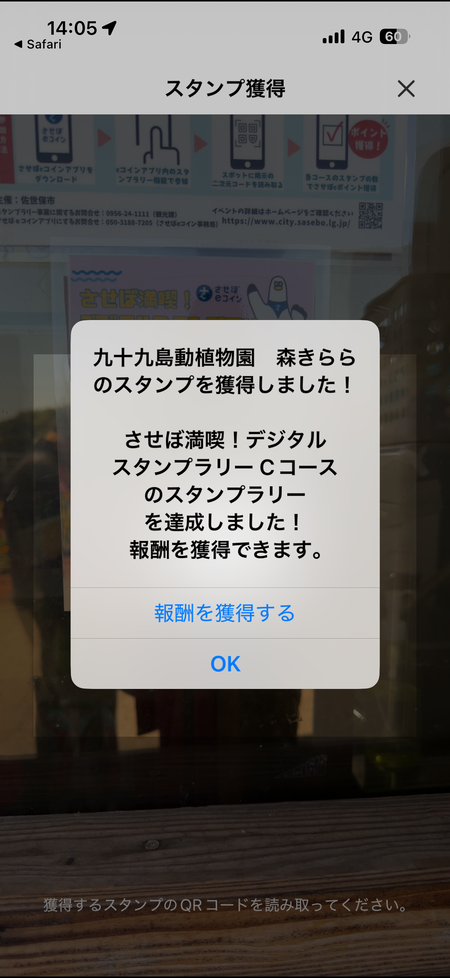 ���������IMG_2254