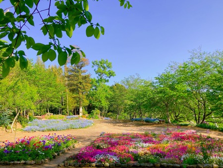 2022.04.19 ����Ը��Į���ھ�̾�β�ȪIMG_5735