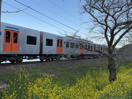 ¿�ɸ�Į����Х���κڤβ�IIMG_3110