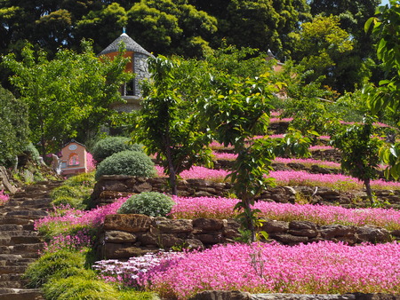 2023.04.22 長崎市琴海 ハッピーテラスP1015707