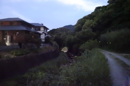 6-長崎市中里町 蛍DSC06487