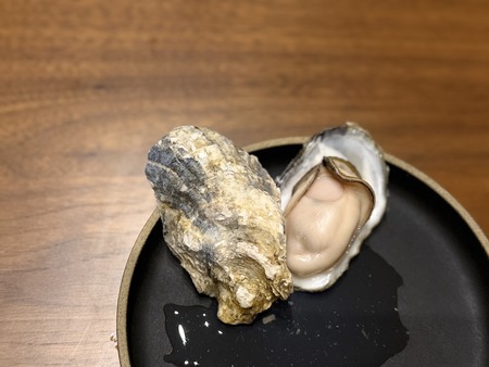 ����Ծ�Ĺ��Į�������ѵ���ľ��ŹIMG_8749