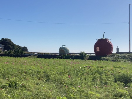 2024.11.09�����ե롼�ĥХ���IMG_7995