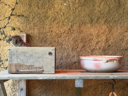 ���������IMG_2283