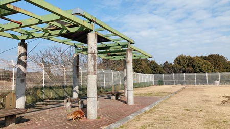 2022.02.13 雲仙市国見町 百花台公園ドックランIMG_8373
