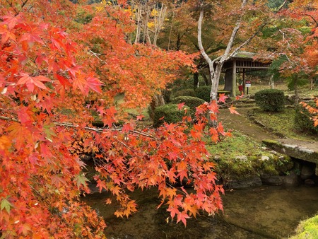 2024.11.22 多久市 西渓公園IMG_8894