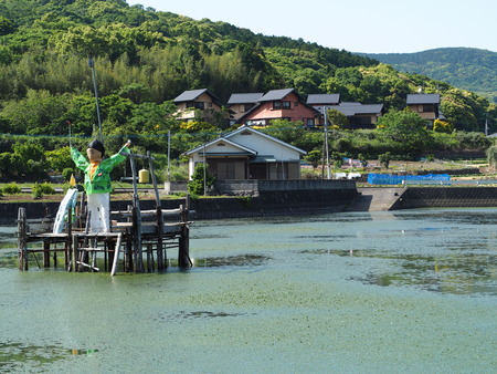2021.05.07 諫早市森山町 栗の実P5071475