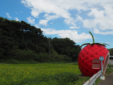 2022.08.05 諫早市小長井町 フルーツバス停P7293271