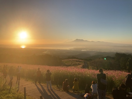 白木峰高原のコスモスIMG_8653 2