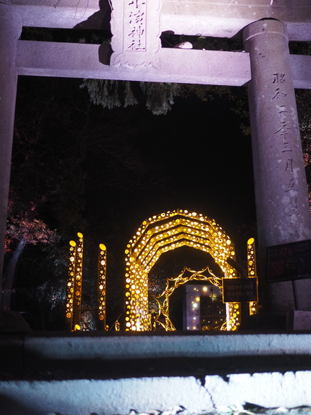 ���Ͳ�������ץ��������ȡ��쾮�Ϳ���P2281485