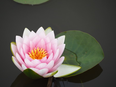 2021.06.18 ԡϥP6174288