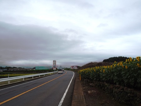 24-愛野町 国道沿いP7214102