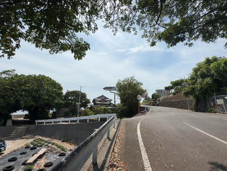 南島原市口之津町 あこう群落IMG_1820_c