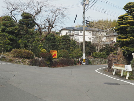 2023.02.15 長崎市松原町 原種梅林 虎馬園P1016017