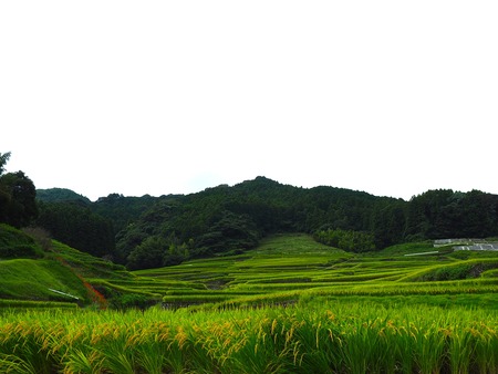 ȺĮêĤޤĤꡡêP9241215