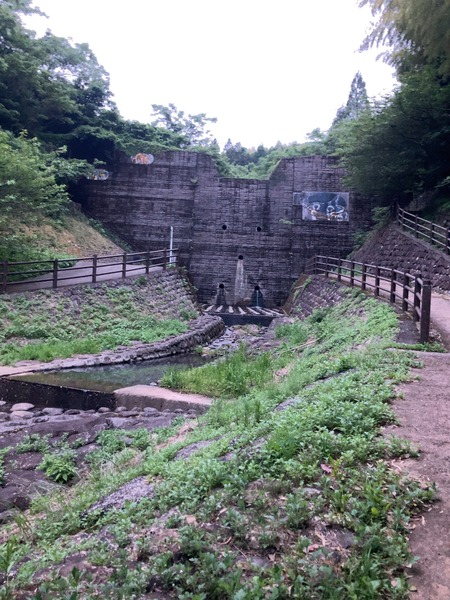 2024.05.22 諫早市多良見町 中里ホタルの里遊歩道IMG_7222