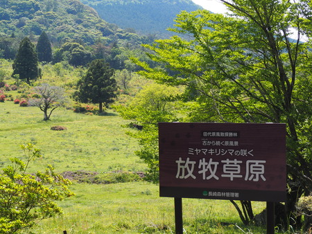 ����ԡ����帶������P1012250